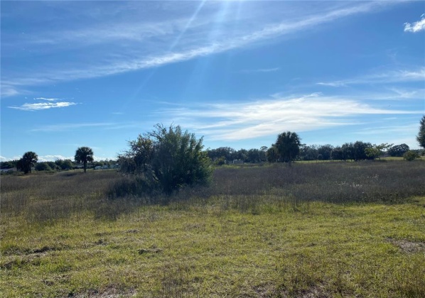 SPRING LAKE ROAD, LAKE WALES, Florida 33898, ,Land,For Sale,SPRING LAKE,P4918556