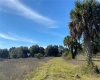 SPRING LAKE ROAD, LAKE WALES, Florida 33898, ,Land,For Sale,SPRING LAKE,P4918556