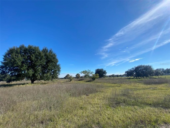 SPRING LAKE ROAD, LAKE WALES, Florida 33898, ,Land,For Sale,SPRING LAKE,P4918556