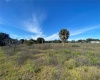 SPRING LAKE ROAD, LAKE WALES, Florida 33898, ,Land,For Sale,SPRING LAKE,P4918556