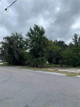 CHARLESTON AVENUE, FORT MEADE, Florida 33841, ,Land,For Sale,CHARLESTON,T3346561