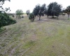 0 TOWNSEND ROAD, LAKE WALES, Florida 33859, ,Land,For Sale,TOWNSEND,P4918733