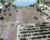 0 TOWNSEND ROAD, LAKE WALES, Florida 33859, ,Land,For Sale,TOWNSEND,P4918733