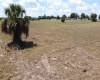 0 TOWNSEND ROAD, LAKE WALES, Florida 33859, ,Land,For Sale,TOWNSEND,P4918733