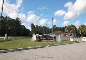 1102 HIDDEN PALMS DRIVE, DAVENPORT, Florida 33897, ,Land,For Sale,HIDDEN PALMS,S5060784