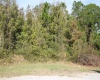 1102 HIDDEN PALMS DRIVE, DAVENPORT, Florida 33897, ,Land,For Sale,HIDDEN PALMS,S5060784