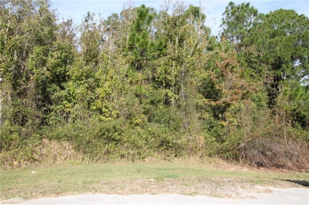 1102 HIDDEN PALMS DRIVE, DAVENPORT, Florida 33897, ,Land,For Sale,HIDDEN PALMS,S5060784