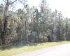1102 HIDDEN PALMS DRIVE, DAVENPORT, Florida 33897, ,Land,For Sale,HIDDEN PALMS,S5060784