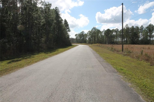 1102 HIDDEN PALMS DRIVE, DAVENPORT, Florida 33897, ,Land,For Sale,HIDDEN PALMS,S5060784