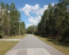 1102 HIDDEN PALMS DRIVE, DAVENPORT, Florida 33897, ,Land,For Sale,HIDDEN PALMS,S5060784
