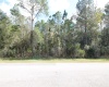 1102 HIDDEN PALMS DRIVE, DAVENPORT, Florida 33897, ,Land,For Sale,HIDDEN PALMS,S5060784
