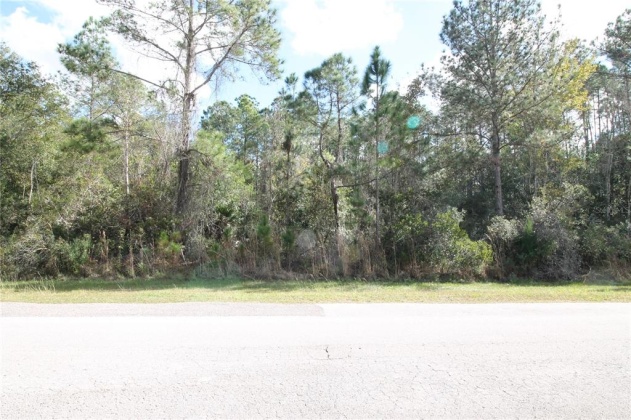 1102 HIDDEN PALMS DRIVE, DAVENPORT, Florida 33897, ,Land,For Sale,HIDDEN PALMS,S5060784
