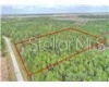 1102 HIDDEN PALMS DRIVE, DAVENPORT, Florida 33897, ,Land,For Sale,HIDDEN PALMS,S5060784