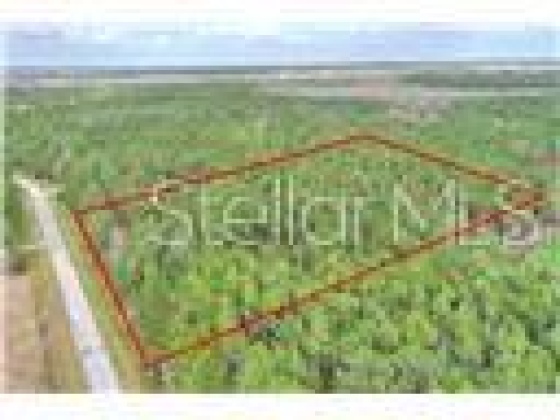 1102 HIDDEN PALMS DRIVE, DAVENPORT, Florida 33897, ,Land,For Sale,HIDDEN PALMS,S5060784