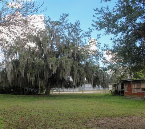137 OLEANDER AVENUE, AUBURNDALE, Florida 33823, ,Land,For Sale,OLEANDER,G5050232