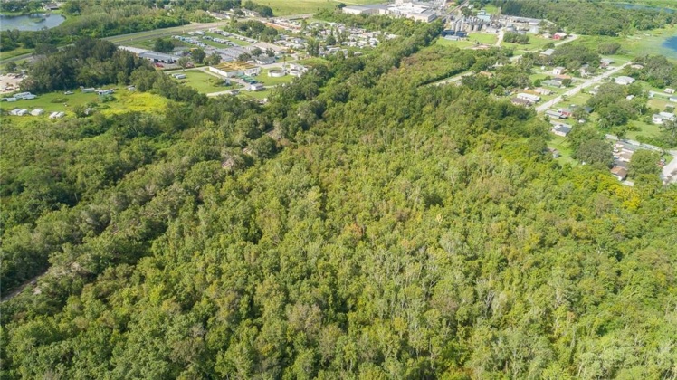 EXPERIMENT STATION ROAD, LAKE ALFRED, Florida 33850, ,Land,For Sale,EXPERIMENT STATION,S5006434