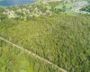 EXPERIMENT STATION ROAD, LAKE ALFRED, Florida 33850, ,Land,For Sale,EXPERIMENT STATION,S5006434