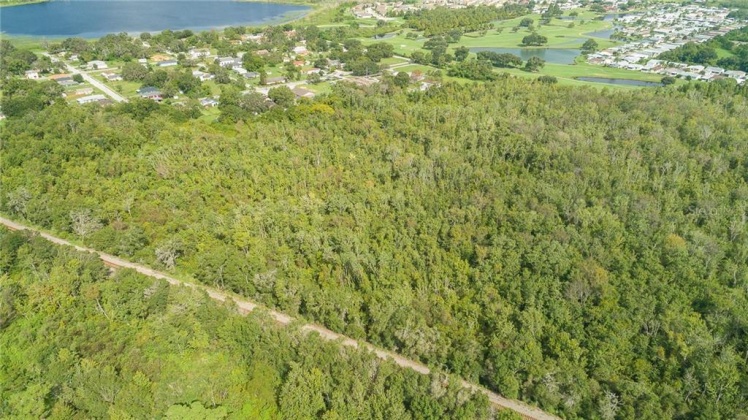 EXPERIMENT STATION ROAD, LAKE ALFRED, Florida 33850, ,Land,For Sale,EXPERIMENT STATION,S5006434