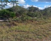 808 CAMELLIA DRIVE, INDIAN LAKE ESTATES, Florida 33855, ,Land,For Sale,CAMELLIA,G5050266