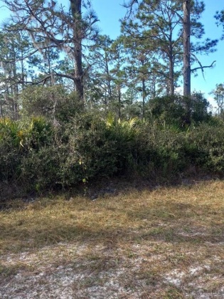 808 CAMELLIA DRIVE, INDIAN LAKE ESTATES, Florida 33855, ,Land,For Sale,CAMELLIA,G5050266