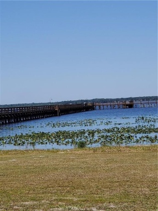 914 GAILLARDIA DRIVE, INDIAN LAKE ESTATES, Florida 33855, ,Land,For Sale,GAILLARDIA,L4927242