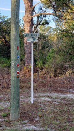 914 GAILLARDIA DRIVE, INDIAN LAKE ESTATES, Florida 33855, ,Land,For Sale,GAILLARDIA,L4927242