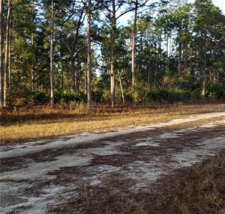 914 GAILLARDIA DRIVE, INDIAN LAKE ESTATES, Florida 33855, ,Land,For Sale,GAILLARDIA,L4927242