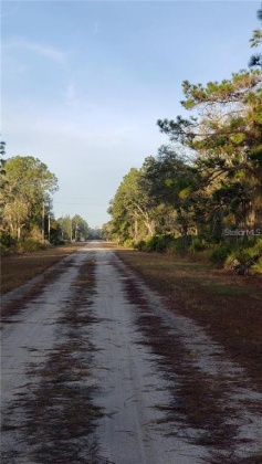 914 GAILLARDIA DRIVE, INDIAN LAKE ESTATES, Florida 33855, ,Land,For Sale,GAILLARDIA,L4927242