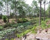 914 GAILLARDIA DRIVE, INDIAN LAKE ESTATES, Florida 33855, ,Land,For Sale,GAILLARDIA,L4927242