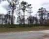 914 GAILLARDIA DRIVE, INDIAN LAKE ESTATES, Florida 33855, ,Land,For Sale,GAILLARDIA,L4927242