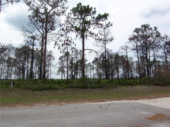 914 GAILLARDIA DRIVE, INDIAN LAKE ESTATES, Florida 33855, ,Land,For Sale,GAILLARDIA,L4927242