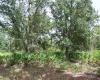 914 GAILLARDIA DRIVE, INDIAN LAKE ESTATES, Florida 33855, ,Land,For Sale,GAILLARDIA,L4927242