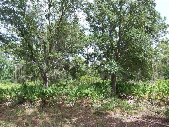 914 GAILLARDIA DRIVE, INDIAN LAKE ESTATES, Florida 33855, ,Land,For Sale,GAILLARDIA,L4927242