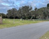 CLAYTON ROAD, AUBURNDALE, Florida 33823, ,Land,For Sale,CLAYTON,L4926729