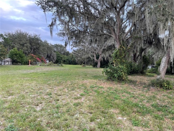 CLAYTON ROAD, AUBURNDALE, Florida 33823, ,Land,For Sale,CLAYTON,L4926729