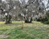 CLAYTON ROAD, AUBURNDALE, Florida 33823, ,Land,For Sale,CLAYTON,L4926729