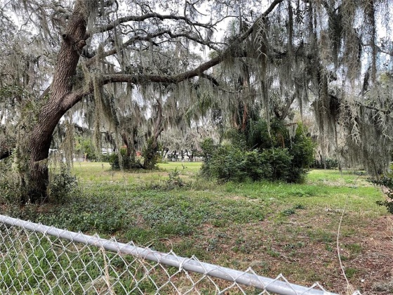 CLAYTON ROAD, AUBURNDALE, Florida 33823, ,Land,For Sale,CLAYTON,L4926729