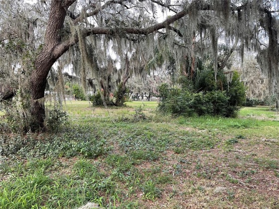 CLAYTON ROAD, AUBURNDALE, Florida 33823, ,Land,For Sale,CLAYTON,L4926729