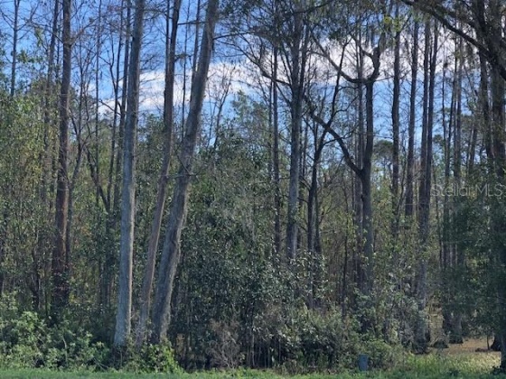 COMMONWEALTH AVENUE, POLK CITY, Florida 33868, ,Land,For Sale,COMMONWEALTH,G5048622