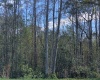 COMMONWEALTH AVENUE, POLK CITY, Florida 33868, ,Land,For Sale,COMMONWEALTH,G5048622