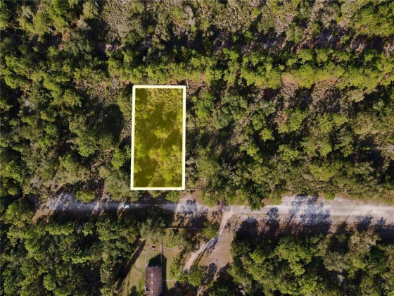 1120 TROPICANA DRIVE, INDIAN LAKE ESTATES, Florida 33855, ,Land,For Sale,TROPICANA,P4918828