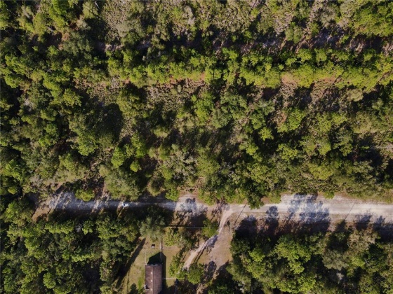 1120 TROPICANA DRIVE, INDIAN LAKE ESTATES, Florida 33855, ,Land,For Sale,TROPICANA,P4918828