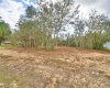 2900 SILVER SPUR LOOP, LAKE WALES, Florida 33898, ,Land,For Sale,SILVER SPUR,L4927280