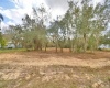 2900 SILVER SPUR LOOP, LAKE WALES, Florida 33898, ,Land,For Sale,SILVER SPUR,L4927280
