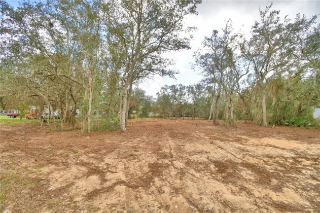 2900 SILVER SPUR LOOP, LAKE WALES, Florida 33898, ,Land,For Sale,SILVER SPUR,L4927280