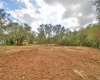 2900 SILVER SPUR LOOP, LAKE WALES, Florida 33898, ,Land,For Sale,SILVER SPUR,L4927280