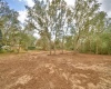 2900 SILVER SPUR LOOP, LAKE WALES, Florida 33898, ,Land,For Sale,SILVER SPUR,L4927280
