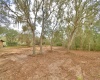 2900 SILVER SPUR LOOP, LAKE WALES, Florida 33898, ,Land,For Sale,SILVER SPUR,L4927280