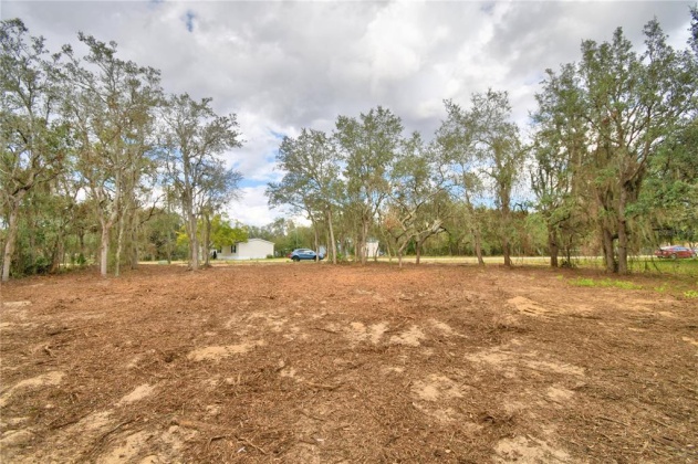 2900 SILVER SPUR LOOP, LAKE WALES, Florida 33898, ,Land,For Sale,SILVER SPUR,L4927280
