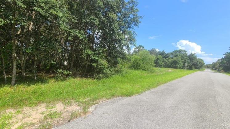 1611 TENCH COURT, POINCIANA, Florida 34759, ,Land,For Sale,TENCH,O5962296